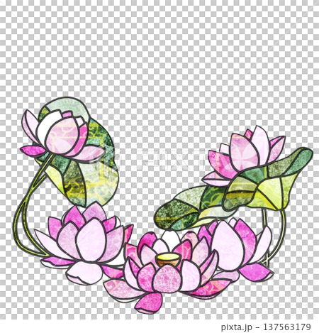 蓮の花 137563179