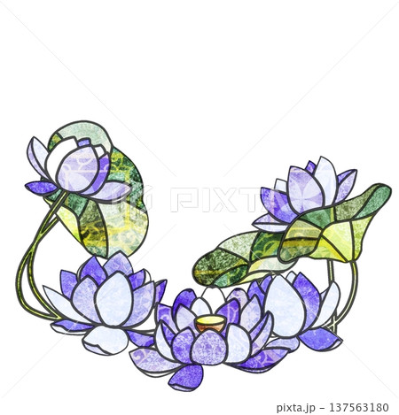 蓮の花 蓮の花 137563180