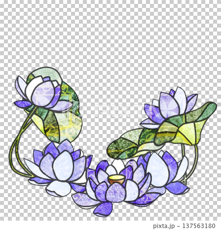 蓮の花 蓮の花 137563180