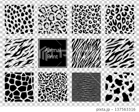 Monochrome animal print backgrounds Animal print pattern set 137563316