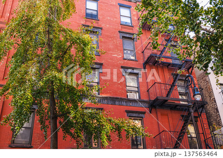 Red brick New York residential building with fire escape and street trees 137563464