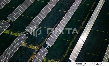 Aerial view of solar panels reflecting sunlight in large photovoltaic power plant producing renewable electricity 137563498