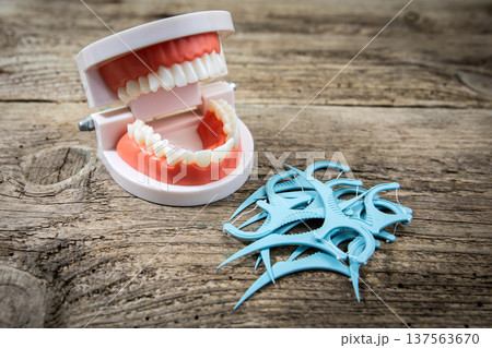 Dental Model With Open Teeth And Floss Picks On Wooden Surface 137563670