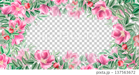 A rectangular frame with rose hips, flowers, and berries. Isolated watercolor illustration for designs related to natural ingredients, health, cosmetology, herbal medicine, and wedding printing. 137563672
