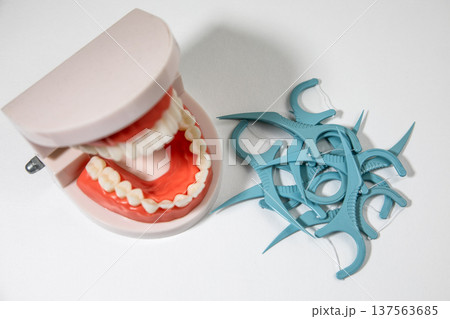 Dental Teeth Model With Floss Picks Pile Isolated On White Background Dental Teeth Model With Floss Picks Pile Isolated On White Background 137563685