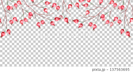A rectangular frame with a top border of bare rosehip branches. Isolated watercolor illustration for designs related to natural ingredients, health, cosmetology, and herbal medicine. 137563695