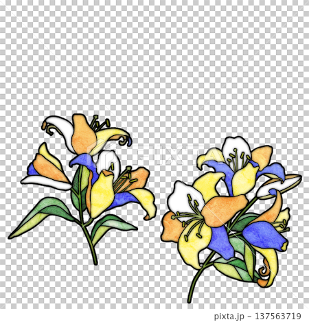 百合花 137563719