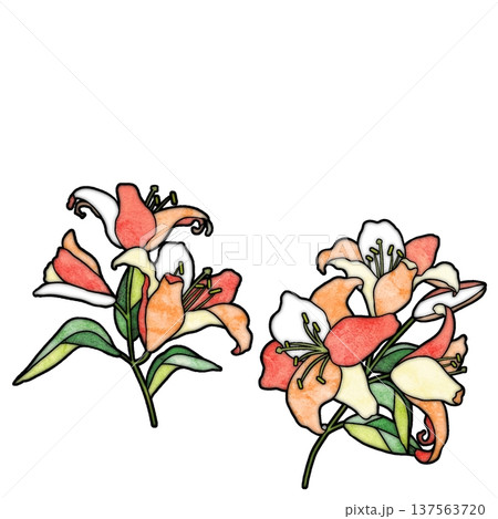 ユリの花 137563720