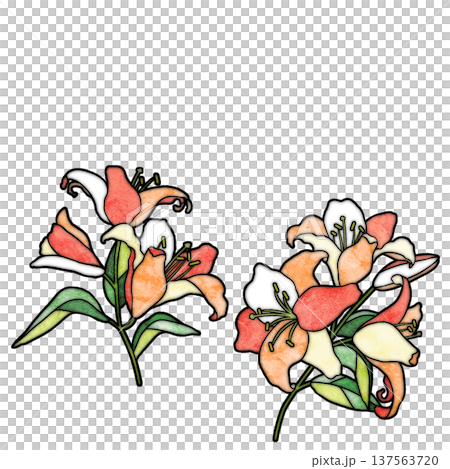 ユリの花 137563720