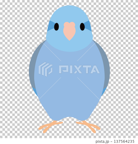 Blue Parrot 137564235