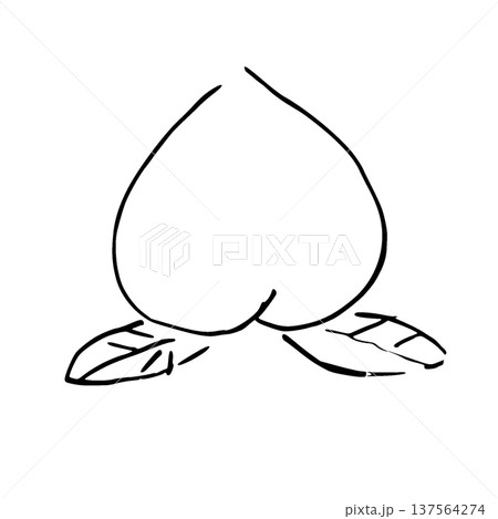 モノクロ線画　桃のイラスト 137564274