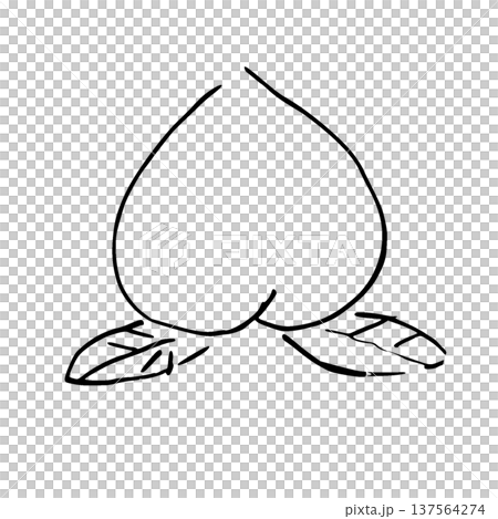 モノクロ線画　桃のイラスト 137564274