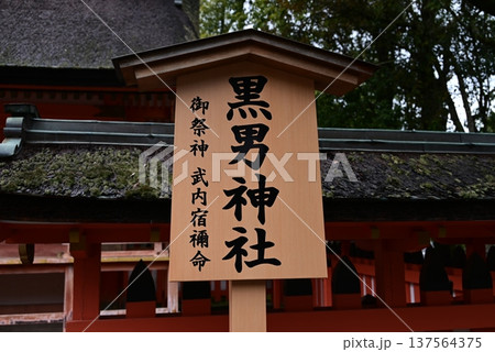 大分県宇佐市の聖地　宇佐神宮 137564375