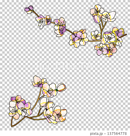 櫻花 櫻花 137564778