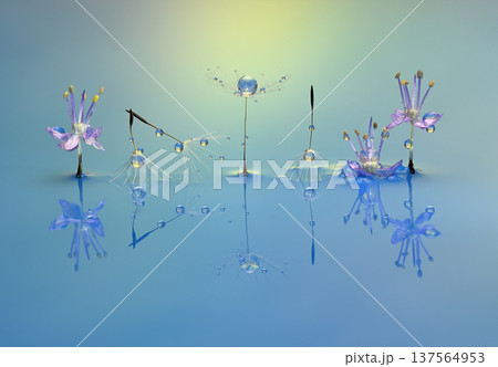 水滴写真 創作写真 水滴写真 創作写真 137564953
