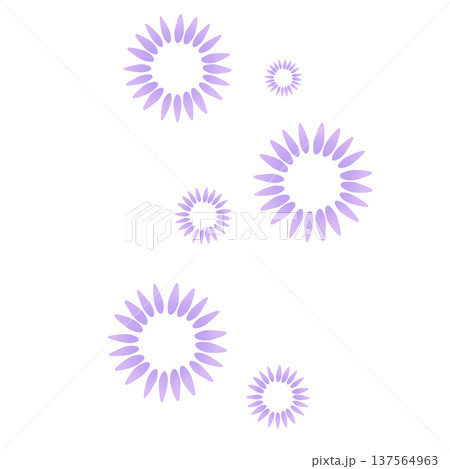薄い紫色のたくさんの花びらの花 薄い紫色のたくさんの花びらの花 137564963