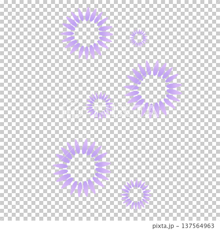 淺紫色多瓣花 137564963