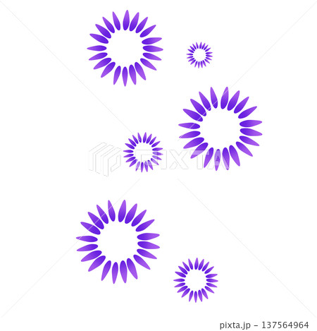 紫色のたくさんの花びらの花 紫色のたくさんの花びらの花 137564964