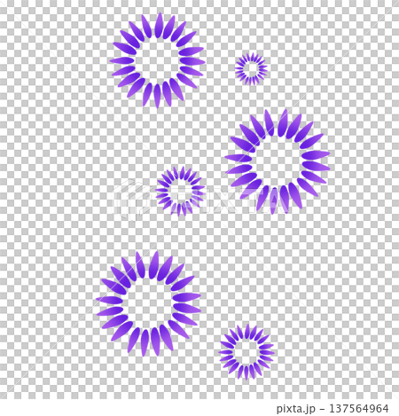 紫色多瓣花 137564964