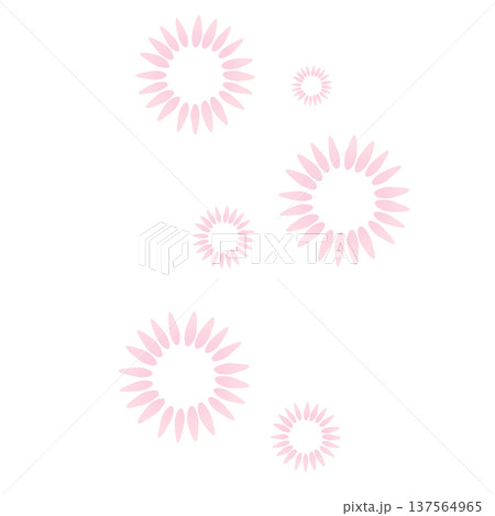 薄いピンク色のたくさんの花びらの花 薄いピンク色のたくさんの花びらの花 137564965