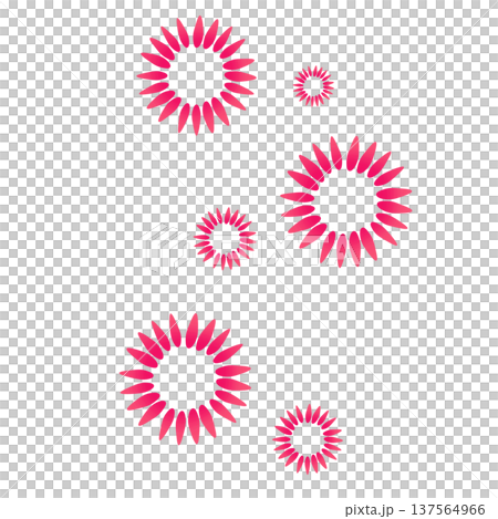 鮮やかなピンク色のたくさんの花びらの花 137564966