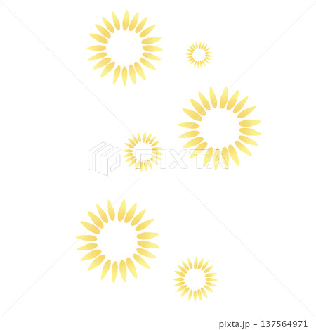 黄色のたくさんの花びらの花 黄色のたくさんの花びらの花 137564971