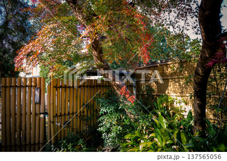 Nov 24 2025 Historic Shojin cuisine restaurant within Daitoku ji temple grounds 137565056