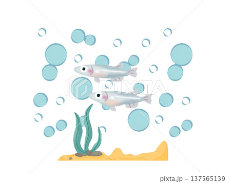 泡とメダカのダンス 137565139