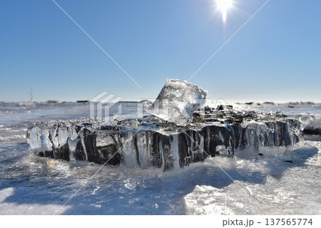 氷と輝く太陽 137565774