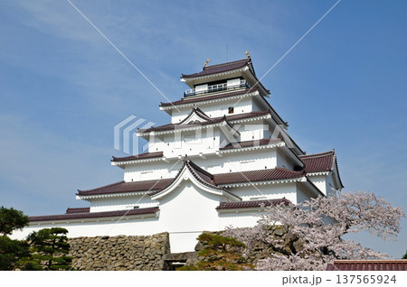 福島県会津若松市 鶴ヶ城天守閣と桜 2011年4月撮影 赤瓦リニューアル直後の春 福島県会津若松市 鶴ヶ城天守閣と桜 2011年4月撮影 赤瓦リニューアル直後の春 137565924