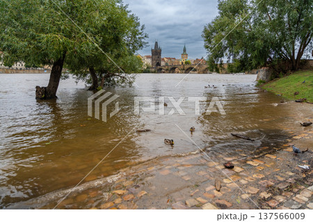 Flood in Prague. View of Charles Bridge over the flooding river Vltava, Prague 137566009