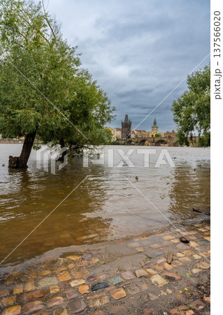 Flood in Prague. View of Charles Bridge over the flooding river Vltava, Prague 137566020
