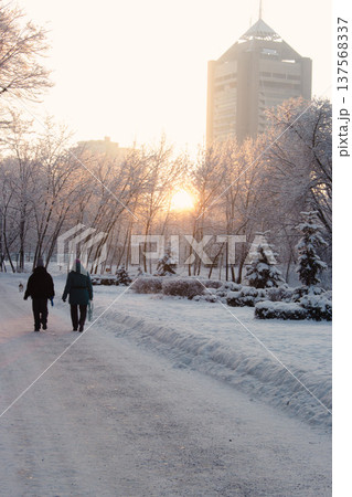 Walking people in winter park in downtown district, Kyiv, Ukraine. Snowy park and building in sunrise light on background. Frosty winter weather. Snowfall in downtown district. Walking people in winter park in downtown district, Kyiv, Ukraine. Snowy park and building in sunrise light on background. Frosty winter weather. Snowfall in downtown district. 137568337