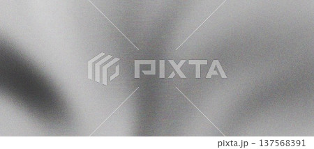 Grainy Gray Abstract Gradient Background 137568391