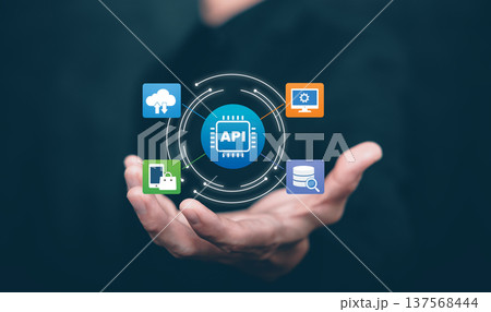 API Integration and Software Development Interface Concept 137568444