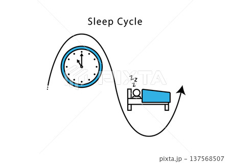 睡眠のサイクルをイメージしたイラスト 137568507