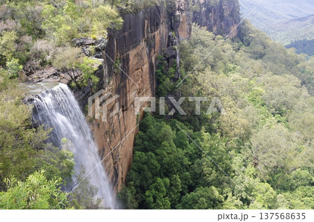 Fitzroy Falls in Morton National Park. Fitzroy Falls in Morton National Park. 137568635