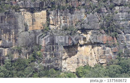 Cliff in Morton National Park. Cliff in Morton National Park. 137568672