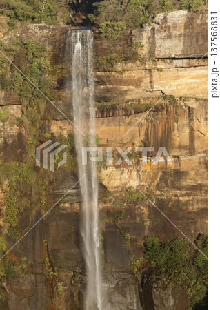 Fitzroy Falls in Morton National Park. Fitzroy Falls in Morton National Park. 137568831