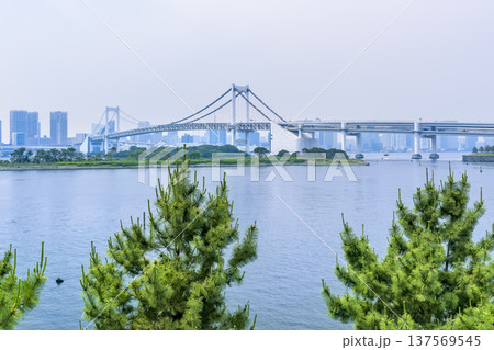 東京・お台場海浜公園から望む東京湾とレインボーブリッジ / Tokyo Bay, Japan 137569545