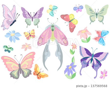 set of butterflies isolated on white 137569568