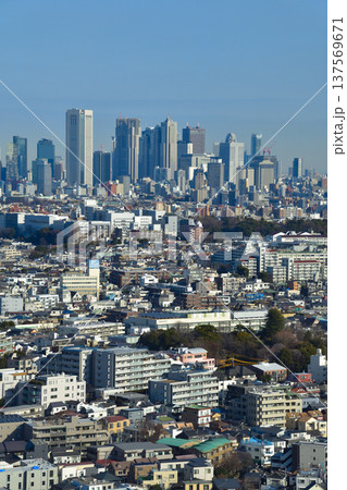 都市風景　東京　新宿　ビル群 137569671