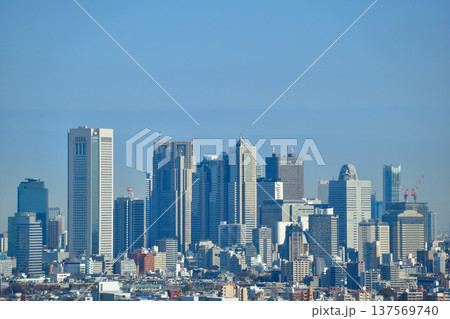 都市風景 東京 新宿 ビル群 都市風景 東京 新宿 ビル群 137569740