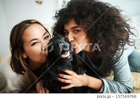 Women, portrait and dog with kiss on sofa in living room of home for puppy, love and happiness indoor. Cocker spaniel, animal and people together on couch with cuddling and care for bond and loyalty Women, portrait and dog with kiss on sofa in living room of home for puppy, love and happiness indoor. Cocker spaniel, animal and people together on couch with cuddling and care for bond and loyalty 137569766