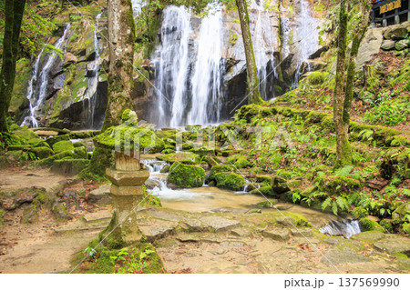 京都宮津　金引の滝 137569990