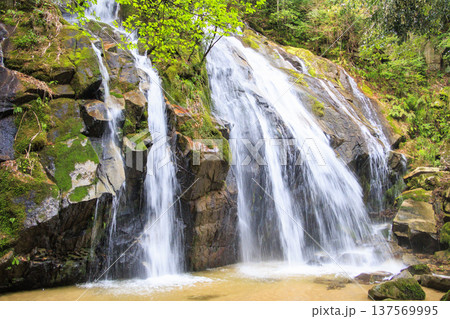 京都宮津　金引の滝 137569995