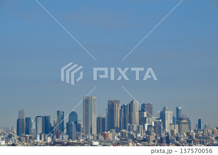 都市風景　東京　新宿　ビル群 137570056