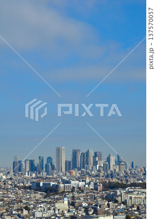 都市風景 東京 新宿 ビル群 都市風景 東京 新宿 ビル群 137570057