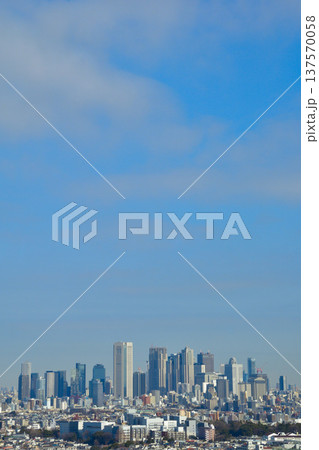 都市風景　東京　新宿　ビル群 137570058