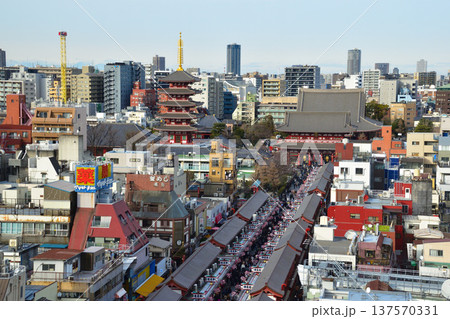 東京　浅草　浅草寺 137570331